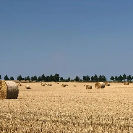 Nyaraló Idyllic By The Castle Pond In Gorow *