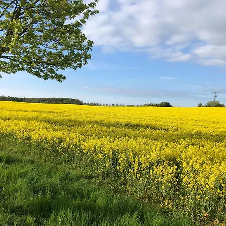 Idyllic By The Castle Pond In Gorow *